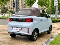 Wuling MINIEV Edition - ფოტო 6