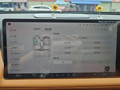 XPeng G9 570 Max - ფოტო 18