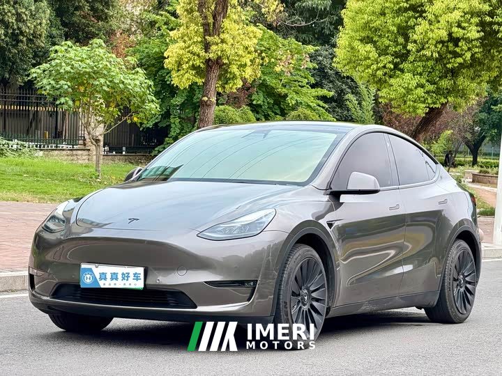 Tesla Model Y Standard Range RWD