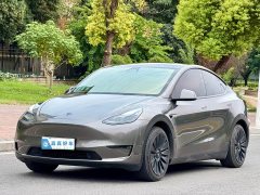 Tesla Model Y Standard Range RWD - ფოტო 1