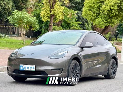 2021 Tesla Model Y Standard Range RWD - ავტომობილი ჩინეთიდან