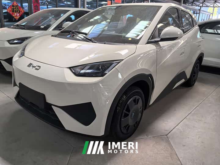 BYD Seagull 2025 305km Vitality Edition - ავტომობილი ჩინეთიდან