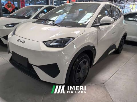 2026 BYD Seagull 305km Vitality Edition
