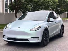 Tesla Model Y Rear-Wheel Drive - ფოტო 1