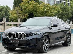 BMW X6 2023 xDrive40i M Sport Premium Package - ფოტო 1