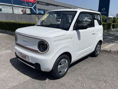Geely Panda 2024 Panda Mini 200km Endurance Edition - ფოტო 1