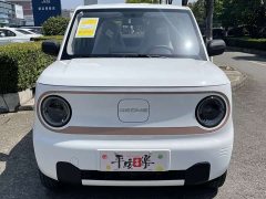 Geely Panda 2024 Panda Mini 200km Endurance Edition - ფოტო 9