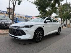 BYD Qin L DM-i 128KM Leading Edition - ფოტო 1