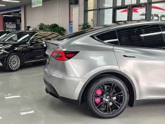 Tesla Model Y Rear-Wheel Drive - ფოტო 17