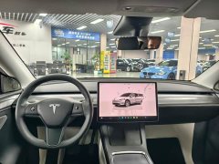 Tesla Model Y Rear-Wheel Drive - ფოტო 9