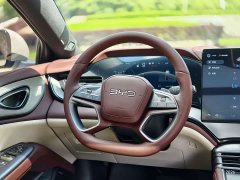 BYD Dolphin 07 DM-i 2026 DM-i 1.5T 230km Flagship - ფოტო 12