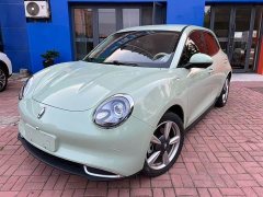 ORA Good Cat 401km Luxury - ფოტო 1