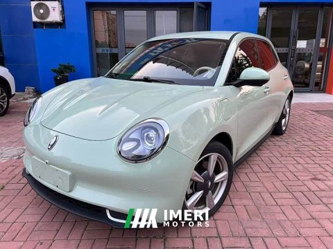 2024 ORA Good Cat 401km Luxury - ავტომობილი ჩინეთიდან