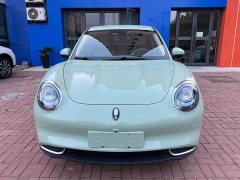 ORA Good Cat 401km Luxury - ფოტო 2