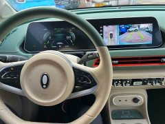 ORA Good Cat 401km Luxury - ფოტო 4