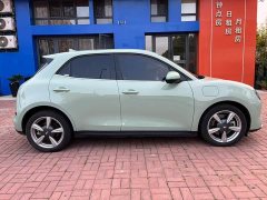 ORA Good Cat 401km Luxury - ფოტო 5