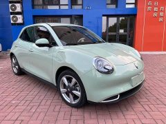 ORA Good Cat 401km Luxury - ფოტო 6