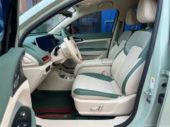 ORA Good Cat 401km Luxury - ფოტო 7
