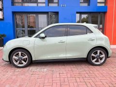 ORA Good Cat 401km Luxury - ფოტო 8