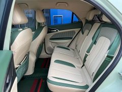 ORA Good Cat 401km Luxury - ფოტო 9
