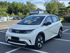 BYD Dolphin 2025 420km Freedom Edition - ფოტო 1