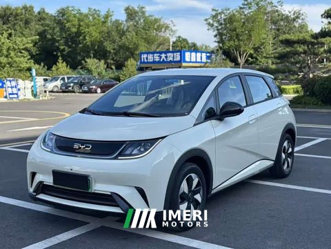 2026 BYD Dolphin 2025 420km Freedom Edition - ავტომობილი ჩინეთიდან