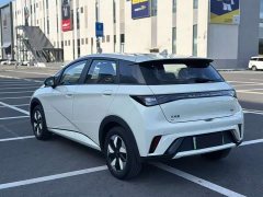 BYD Dolphin 2025 420km Freedom Edition - ფოტო 7