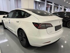 Tesla Model 3 Standard Range RWD Upgrade 3D6 - ფოტო 10