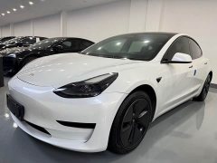 Tesla Model 3 Standard Range RWD Upgrade 3D6 - ფოტო 2