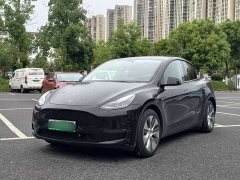 Tesla Model Y Long Range All-Wheel Drive - ფოტო 1