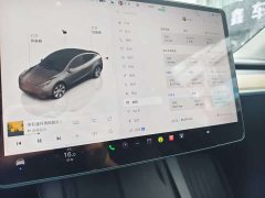 Tesla Model Y Long Range All-Wheel Drive - ფოტო 13