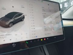 Tesla Model Y Long Range All-Wheel Drive - ფოტო 16