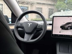 Tesla Model Y Long Range All-Wheel Drive - ფოტო 17