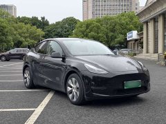 Tesla Model Y Long Range All-Wheel Drive - ფოტო 3