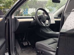 Tesla Model Y Long Range All-Wheel Drive - ფოტო 8