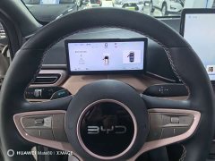 BYD Seagull Smart Driving Edition 305km Freedom Edition - ფოტო 4