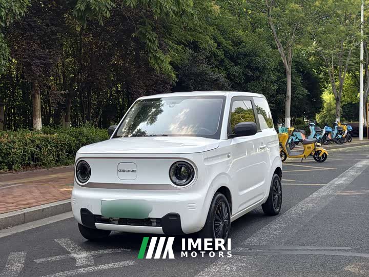Geely Panda Mini 200km Endurance Edition - ავტომობილი ჩინეთიდან