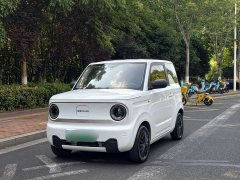 Geely Panda Mini 200km Endurance Edition - ფოტო 1