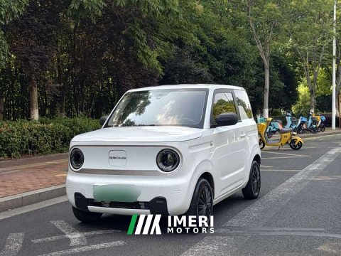 2023 Geely Panda Mini 200km Endurance Edition - ავტომობილი ჩინეთიდან