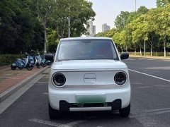 Geely Panda Mini 200km Endurance Edition - ფოტო 2