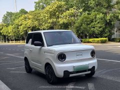 Geely Panda Mini 200km Endurance Edition - ფოტო 3