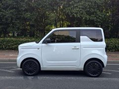 Geely Panda Mini 200km Endurance Edition - ფოტო 4