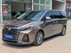 Buick GL8 Land Executive Cabin 652T Smart Luxury - ფოტო 1