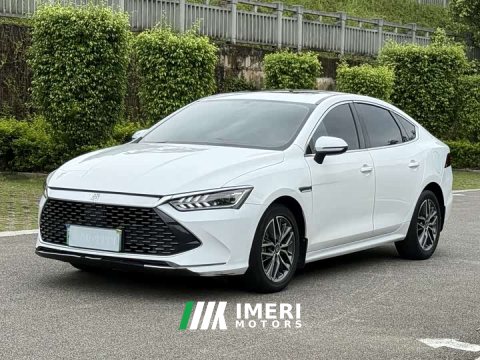 2023 BYD Qin Plus 2021 DM-i 55KM Flagship - ავტომობილი ჩინეთიდან