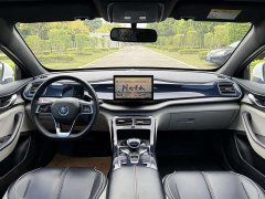 BYD Qin Plus 2021 DM-i 55KM Flagship - ფოტო 7