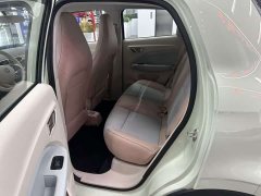Leapmotor Leapo T03 310 Comfort Edition - ფოტო 6