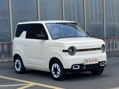 Geely Panda Mini 210km Vitality Edition - ფოტო 3