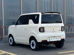 Geely Panda Mini 210km Vitality Edition - ფოტო 6