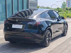 Tesla Model Y 2022 Rear-Wheel Drive - ფოტო 14