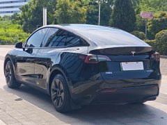 Tesla Model Y 2022 Rear-Wheel Drive - ფოტო 15